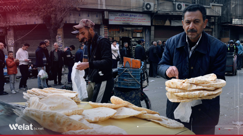 Report: Food security crisis persists in Syria, with northeast remaining the hardest hit