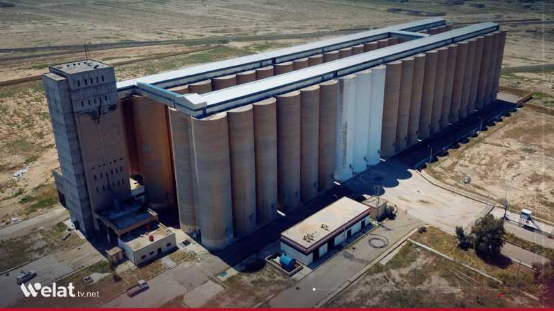 Syrian Grain Agency Receives 2.7 Million Tons of Wheat, Surpassing Annual Domestic Demand