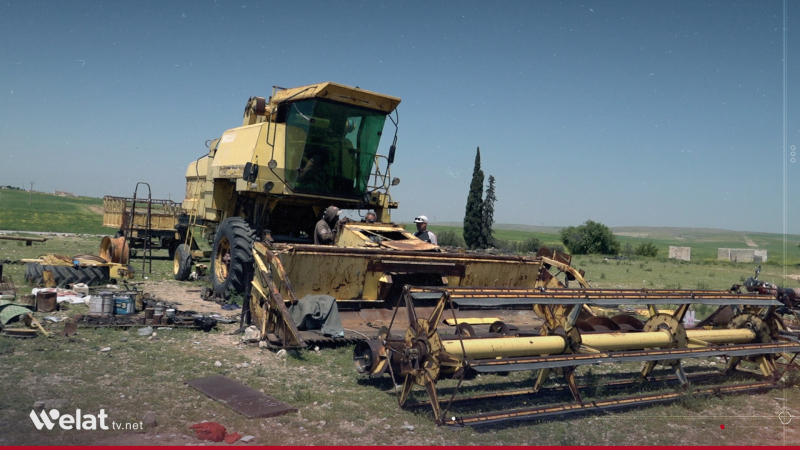 Harvest season challenges threaten the agriculture sector in Kobani amid calls for urgent support