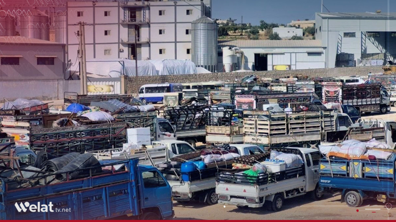 عودة 186 عائلة من مخيمات الشمال السوري إلى ريف حماة