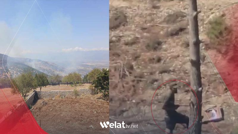 Çiya û darên Efrînê tên şewitandin û birîn 