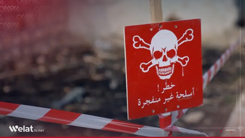 Zarokek li Reqayê bû qurbaniyê teqîna mayîneke çandî