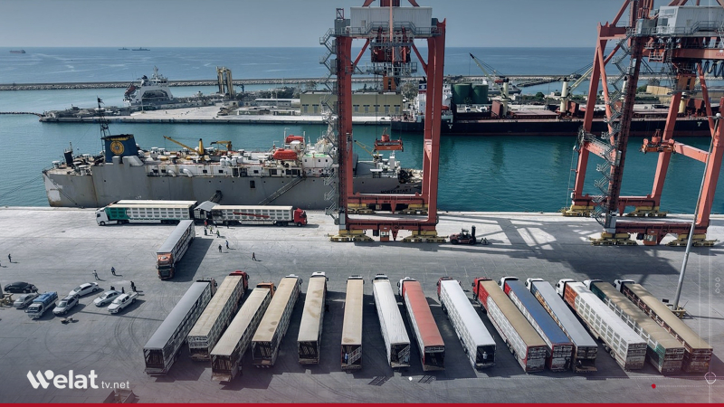 Livestock Shipment Arrives at Tartous Port as Part of International Transit Movement
