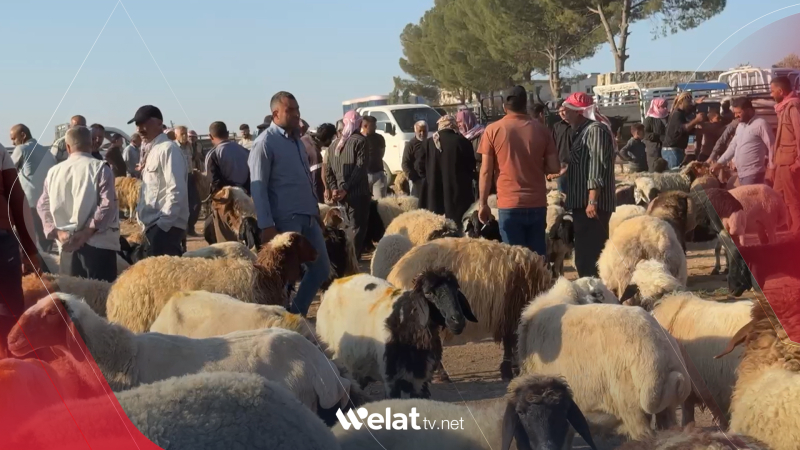 Welatiyên Efrînê amadekariya cejnê dikin û qurbaniyan dikirin