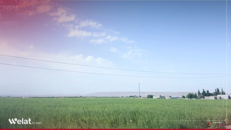 Çandina kunciyan li Kobaniyê geş bûye