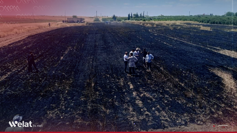 Agir bi 18 donim zevî li Kobaniyê ket